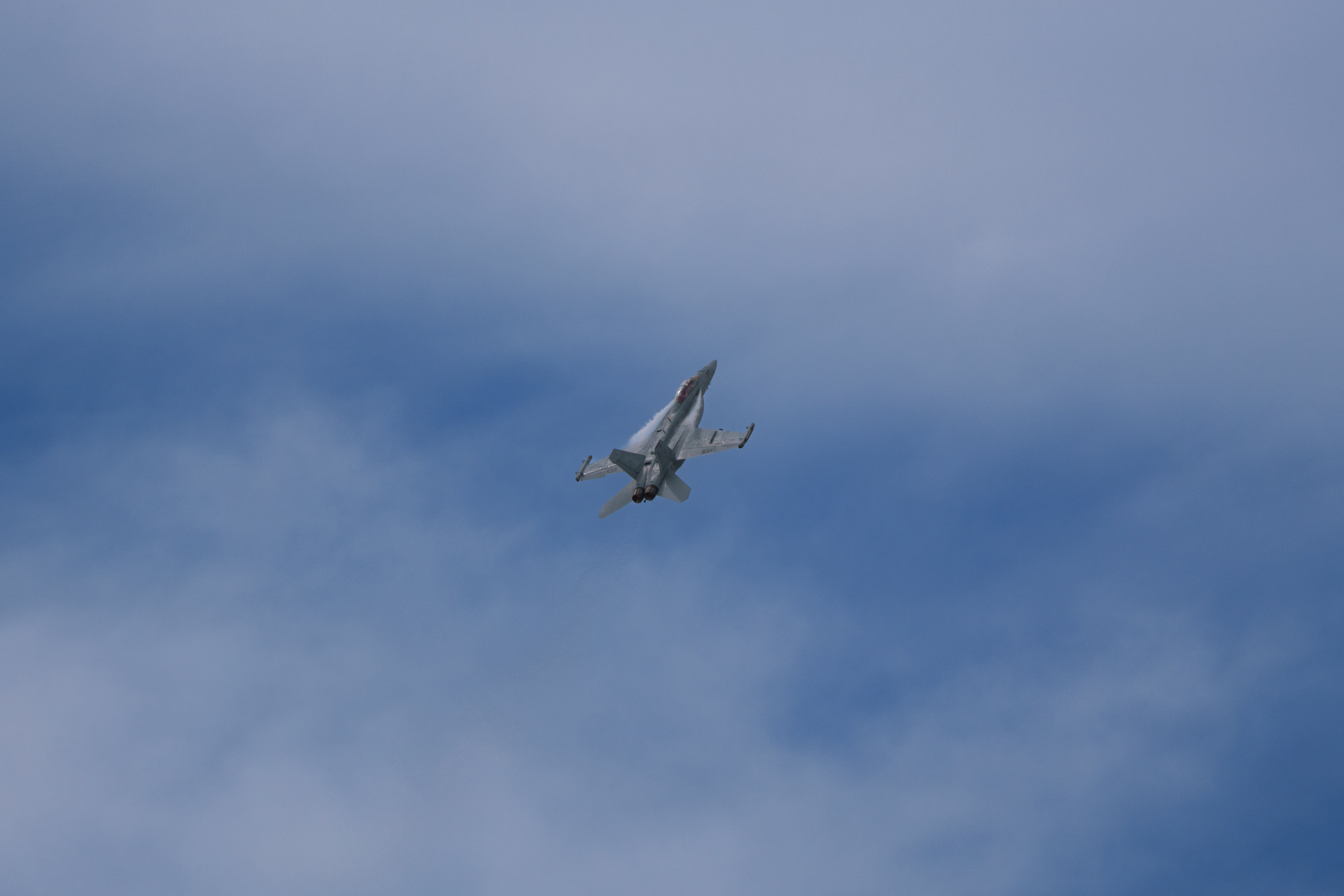 DSC06967.jpg