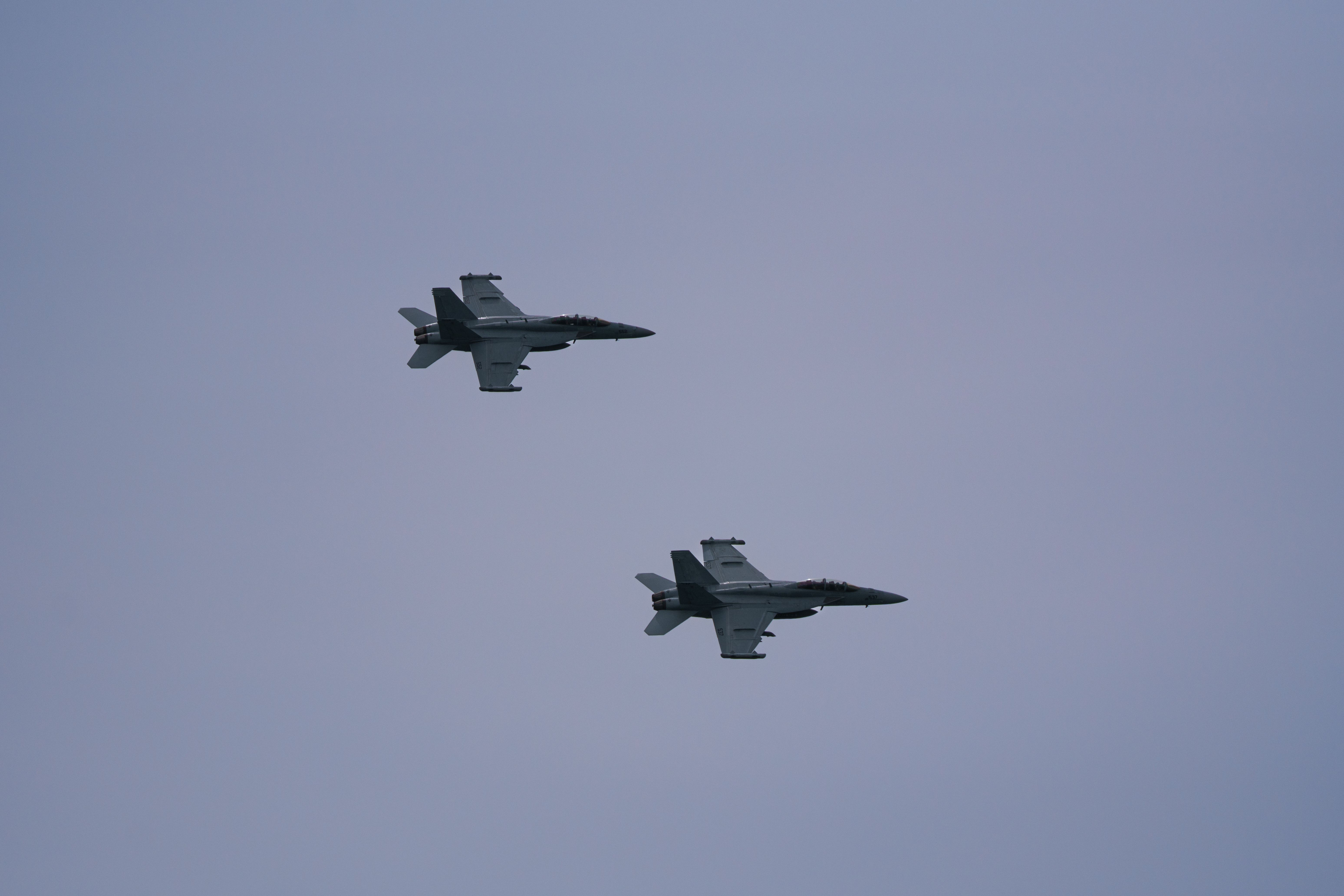 DSC07103.jpg
